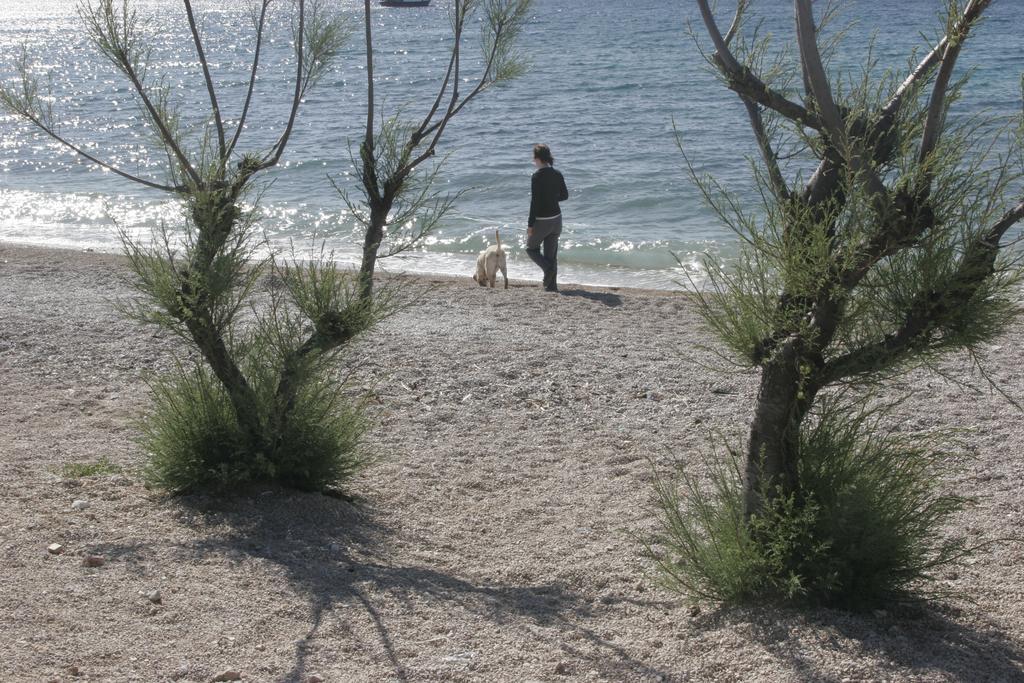 Apartments Irena Krk Krk Town Εξωτερικό φωτογραφία